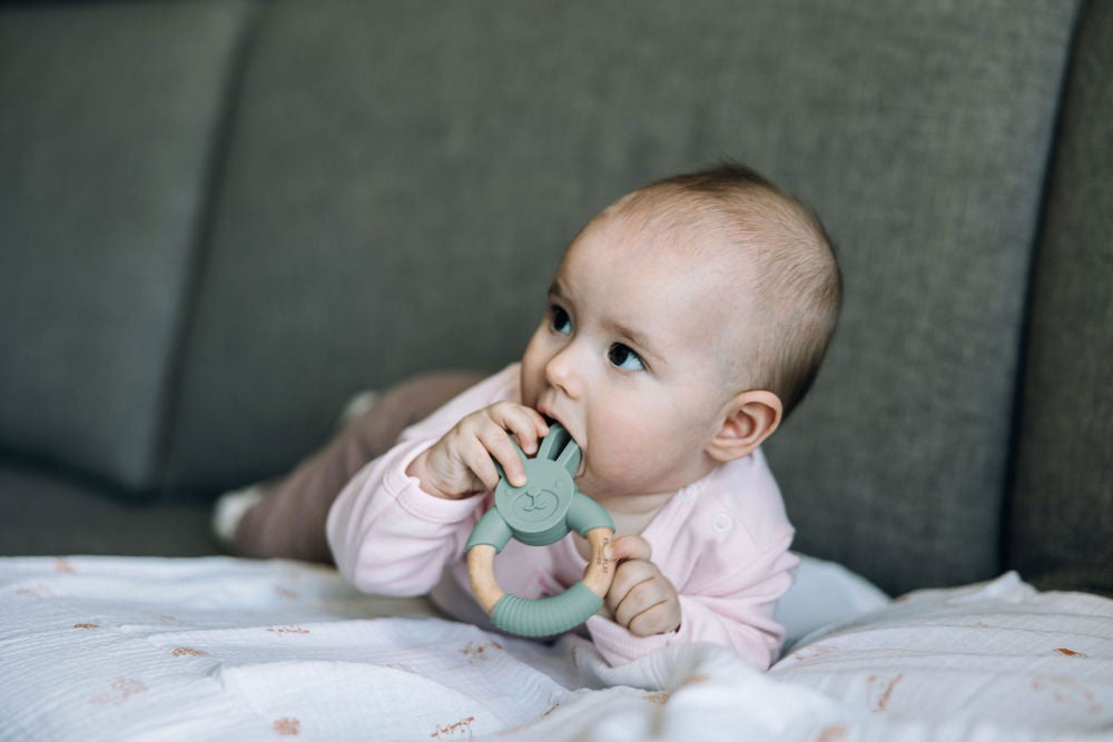 FreeON nyuszis rágóka - Green (49508)